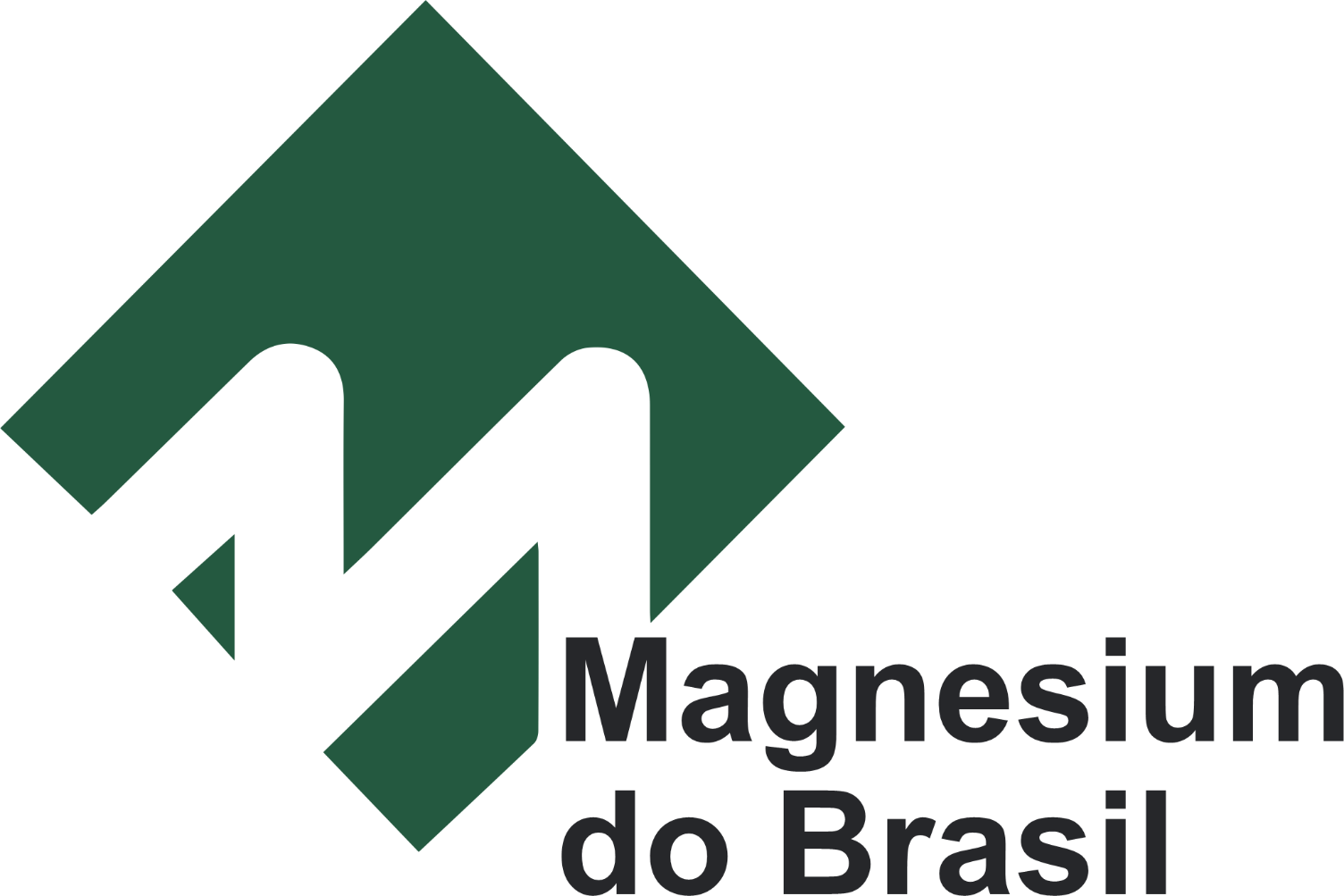 logo_magnesium